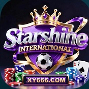 星耀国际
